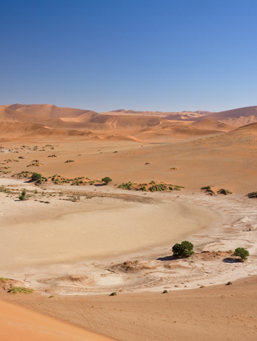 Sand dunes at Sossusvlei
